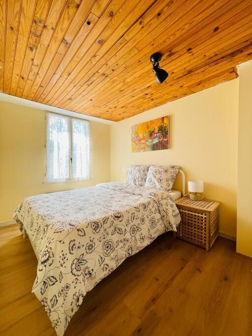 Chez-Yu Cite Villa Каркасон Екстериор снимка